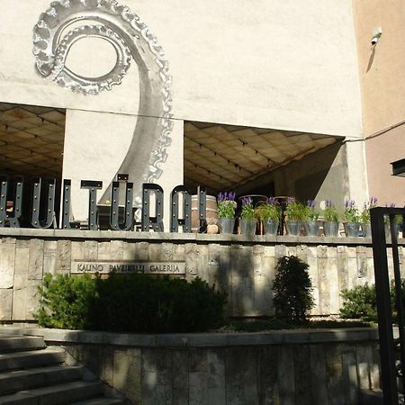 Kaunas Downtown Apartments Kültér fotó