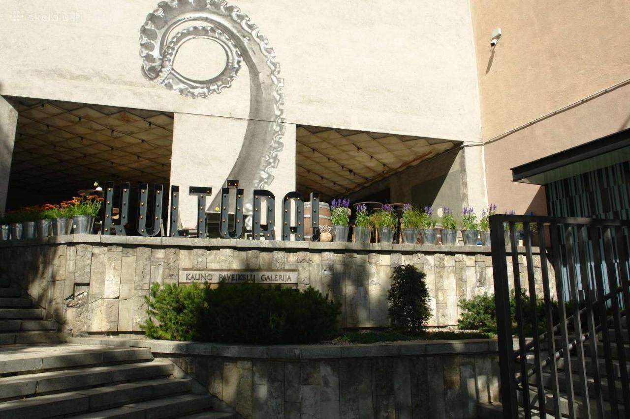 Kaunas Downtown Apartments Kültér fotó