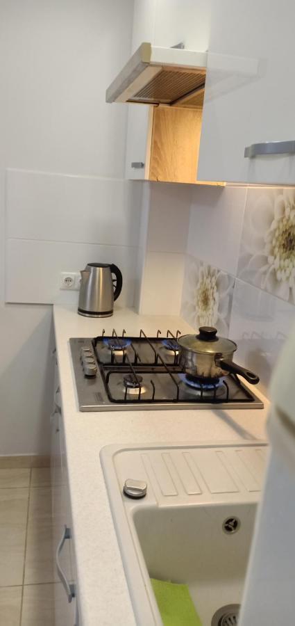 Kaunas Downtown Apartments Kültér fotó