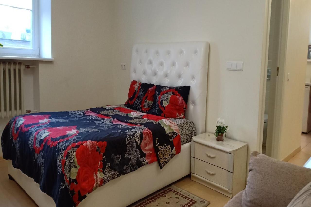 Kaunas Downtown Apartments Kültér fotó